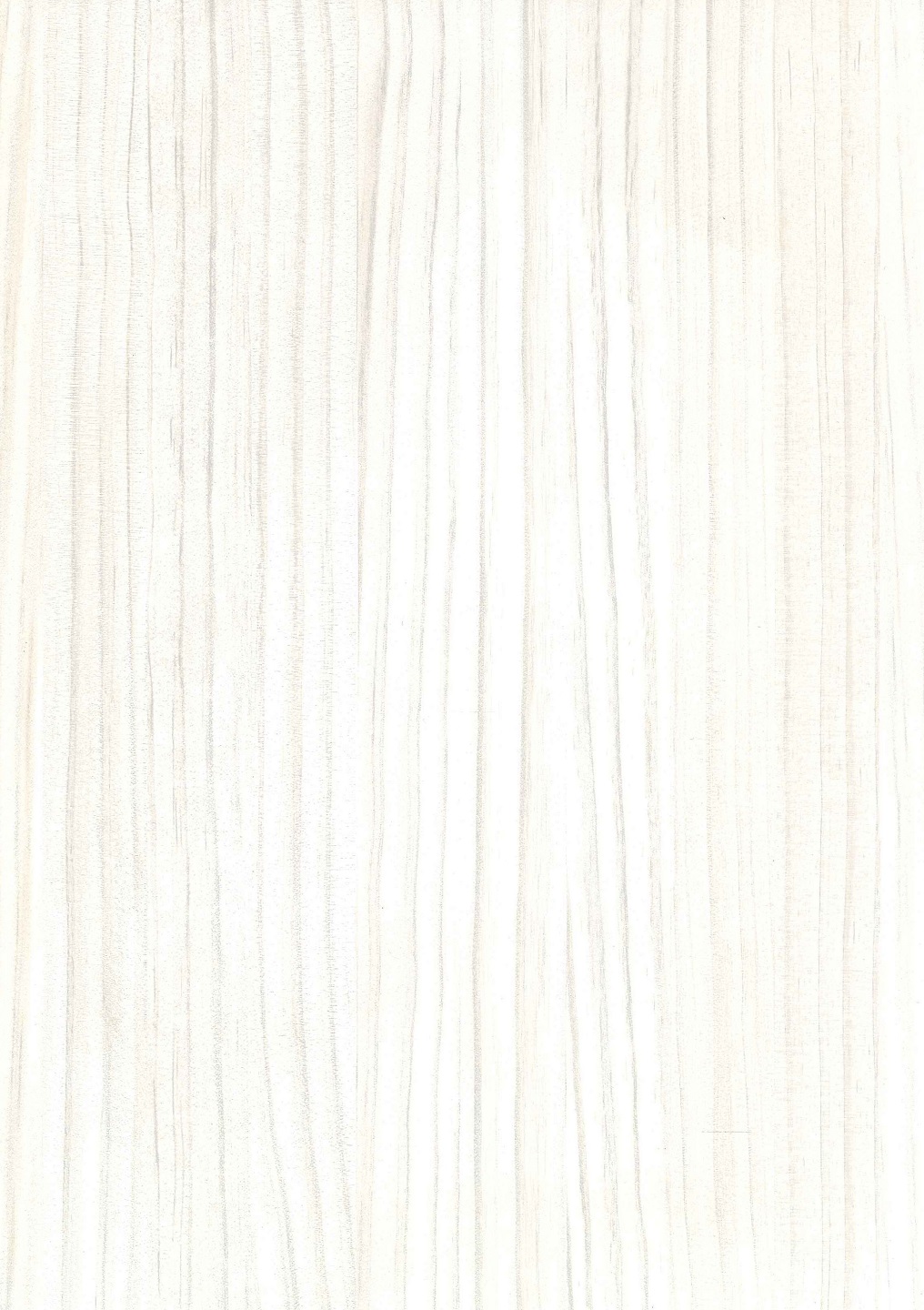 珍珠白梣木